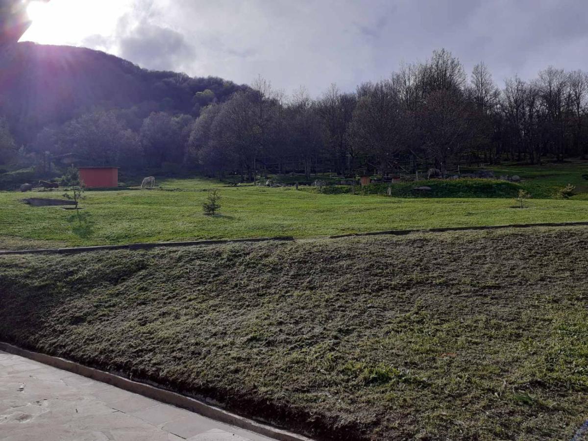 Ani Resort Artavaz Esterno foto