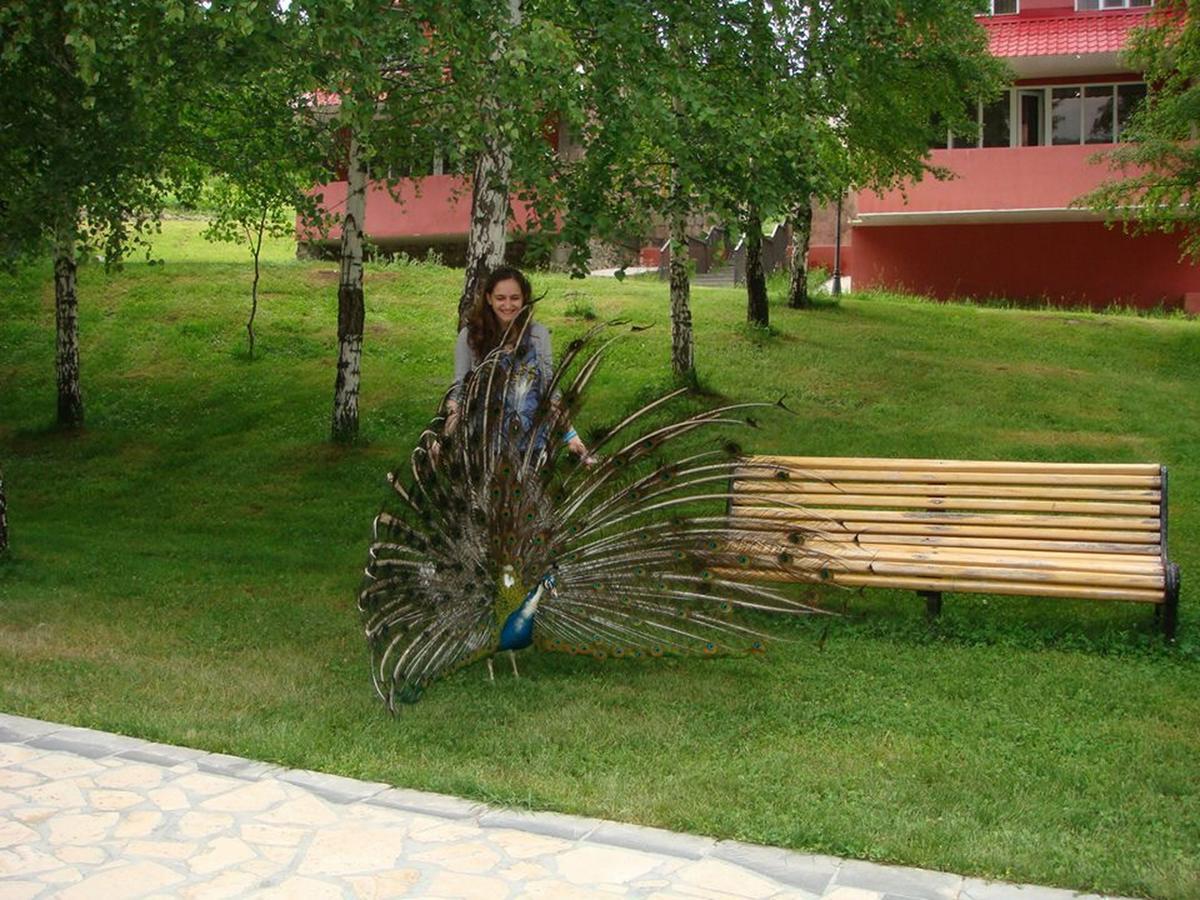 Ani Resort Artavaz Esterno foto